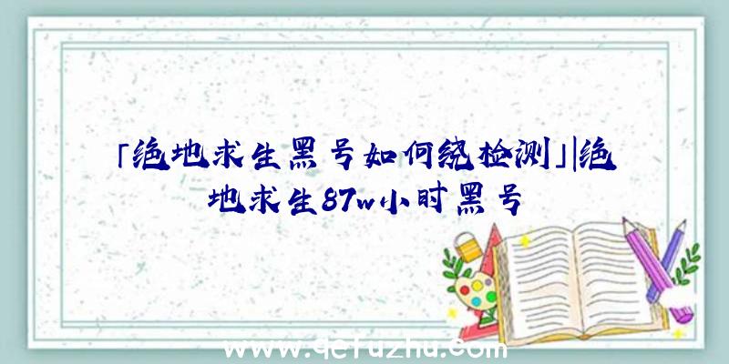 「绝地求生黑号如何绕检测」|绝地求生87w小时黑号